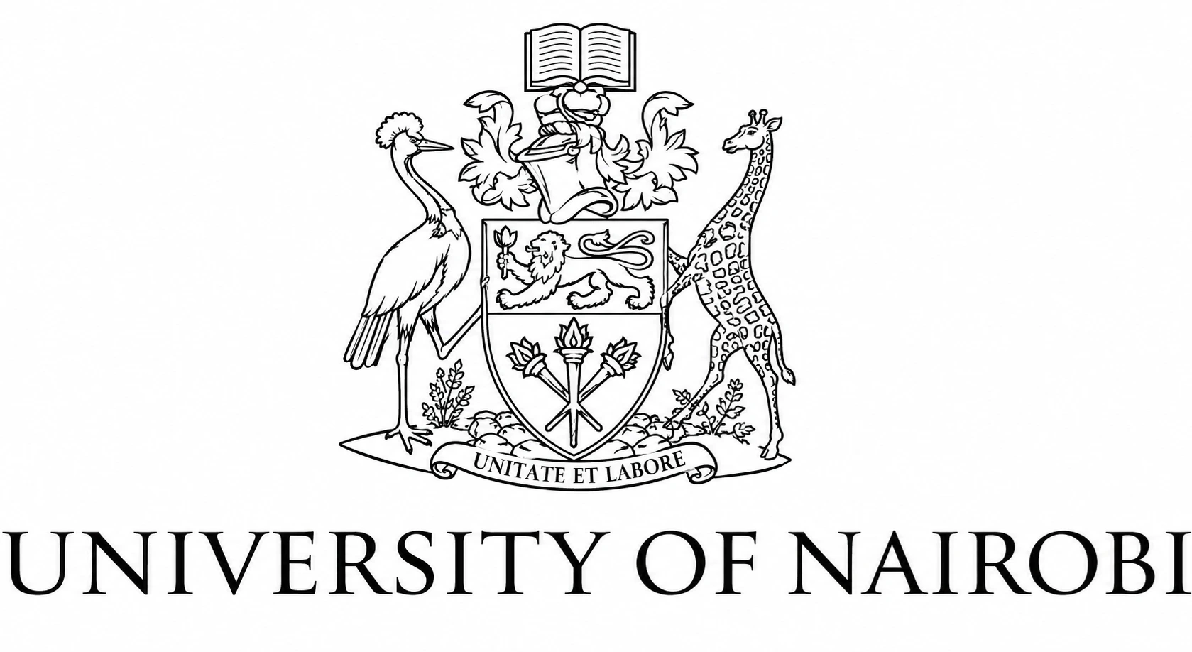 University 14
